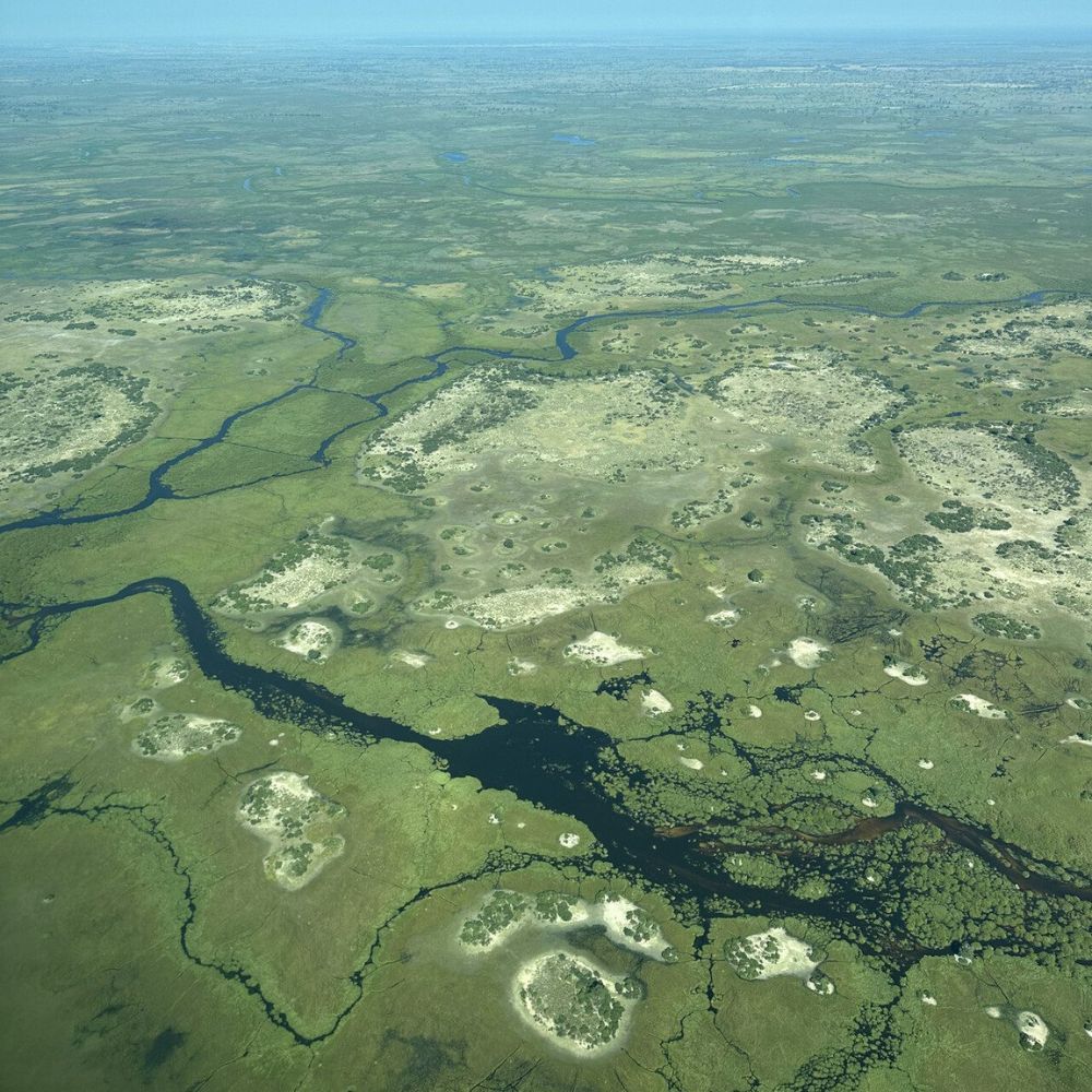 Aerial view of a vast, green landscape featuring winding rivers, ponds, and circular patches of land throughout. The terrain is a mix of wetlands and plains under a clear blue sky.