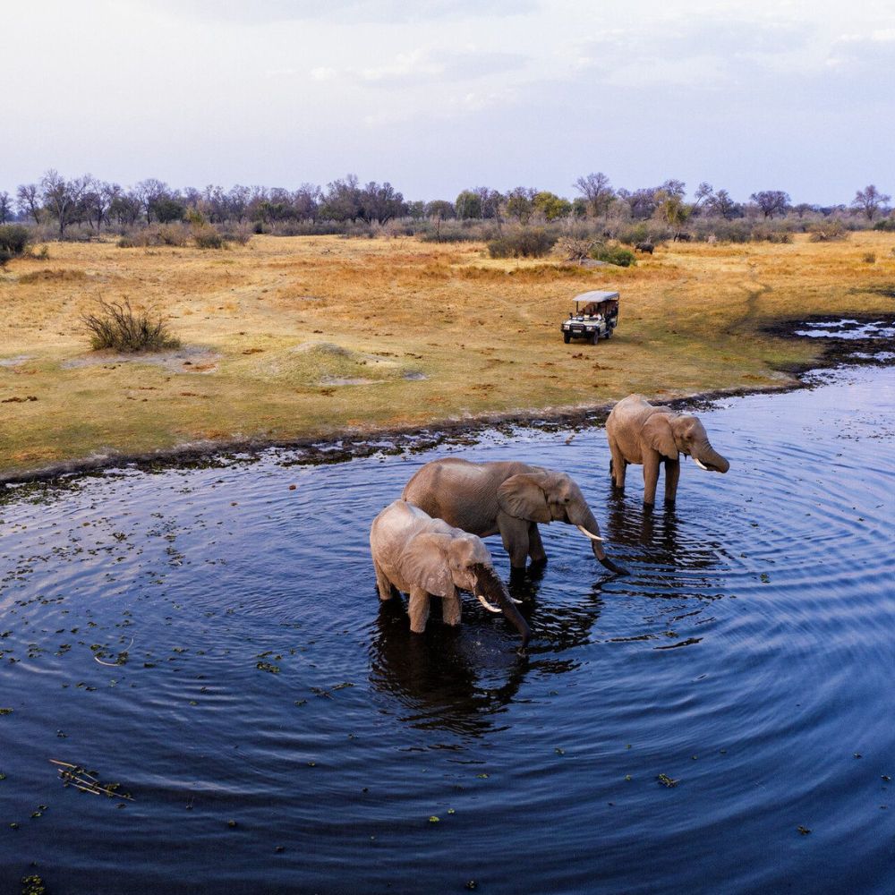 Three elephants wade in a water body, creating ripples, with a safari vehicle parked nearby in a serene, open landscape.