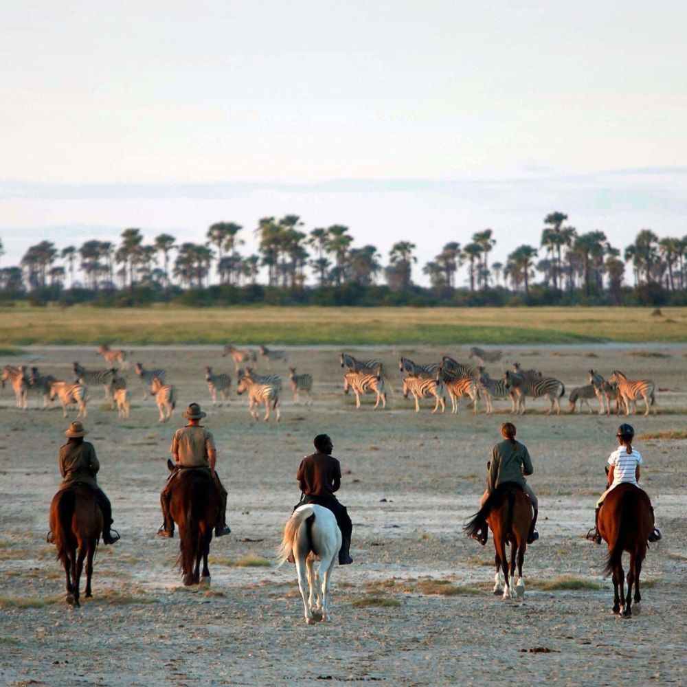 horseriding safari