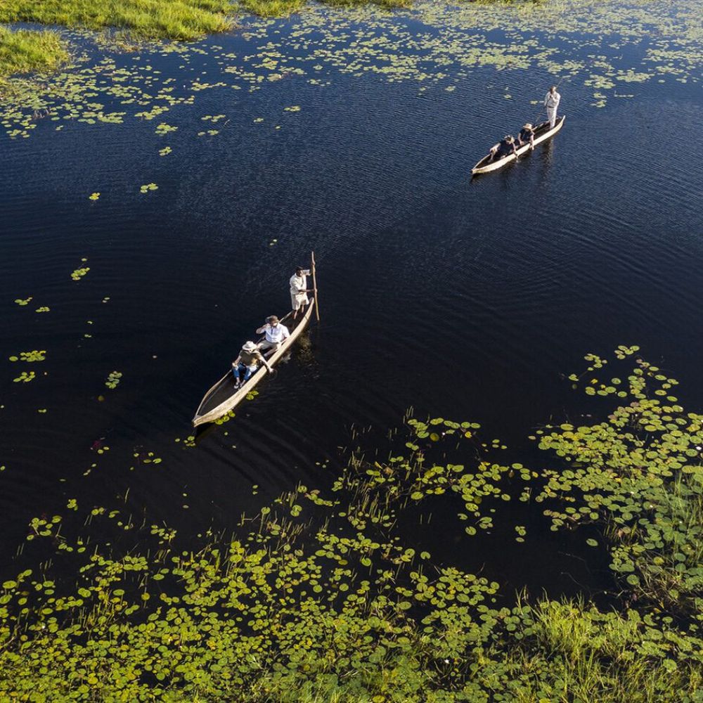 Two boats navigate through a tranquil waterway filled with lily pads. Lush greenery surrounds the scene, creating a serene natural landscape.