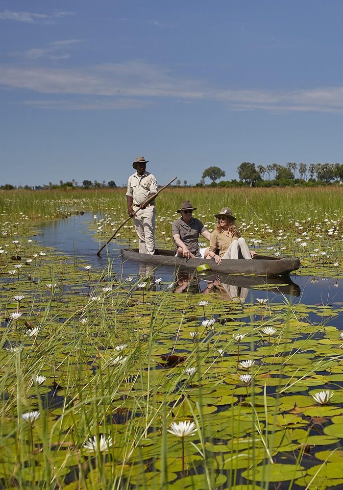 Two tourists sit in a canoe surrounded by water lilies, while a guide navigates with a paddle in a serene wetland setting. Lush greenery and clear blue skies complete the picturesque scene.