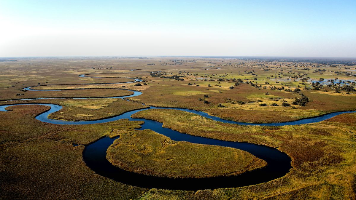 Aerial view of a winding river meandering through a vast, open landscape with green fields and scattered trees under a clear blue sky.