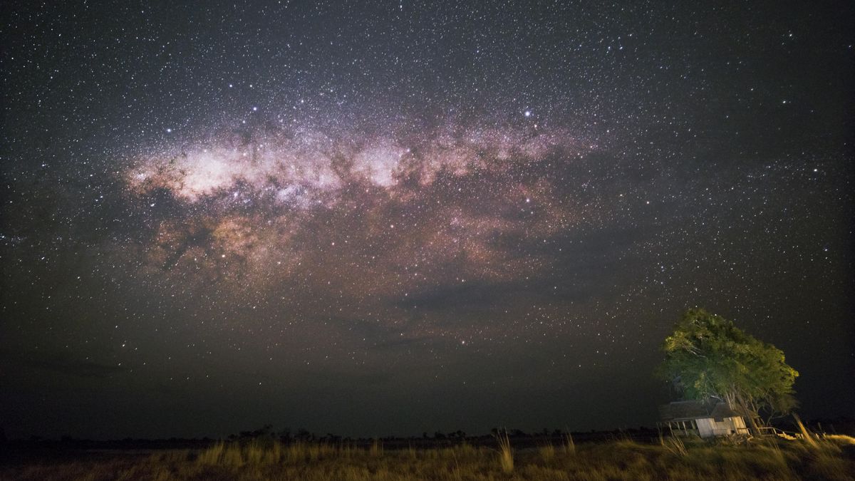 A starry night sky filled with countless stars and the Milky Way arching across the horizon. A solitary tree stands to the right, with a small cabin nearby, illuminated softly against the dark landscape.