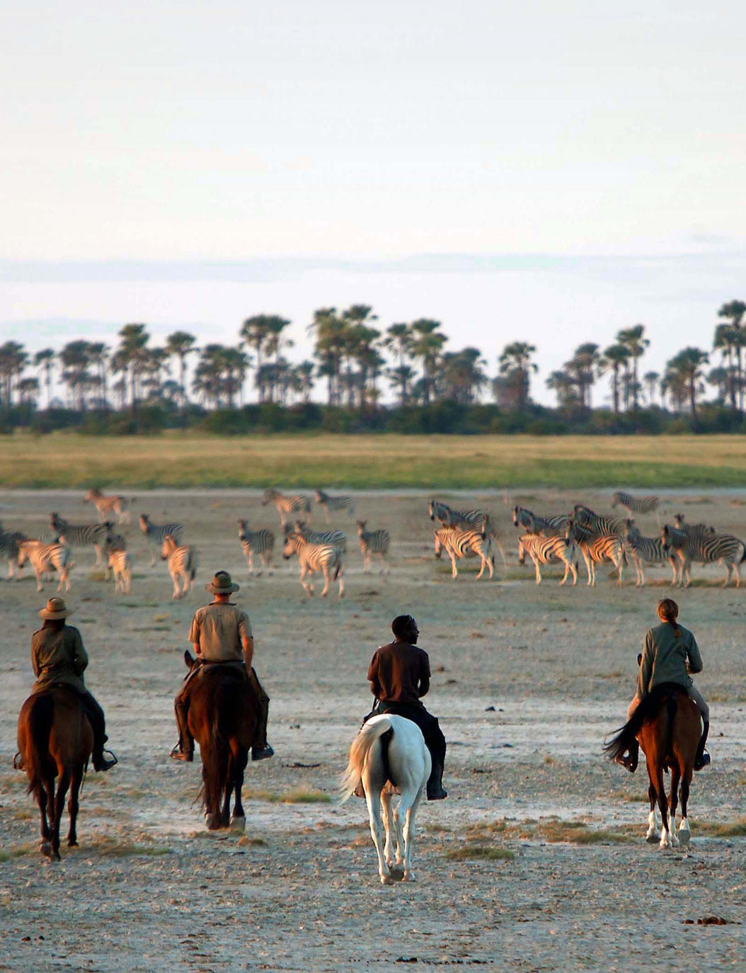 Four horseback riders watch a herd of zebras in a vast open landscape, with palm trees lining the horizon under a soft, evening sky.