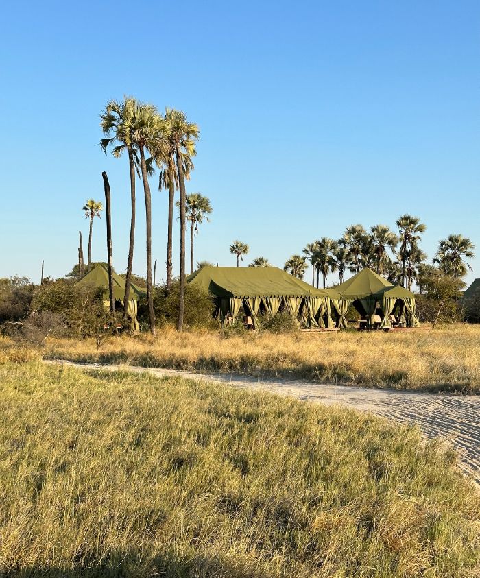 tented safari camp