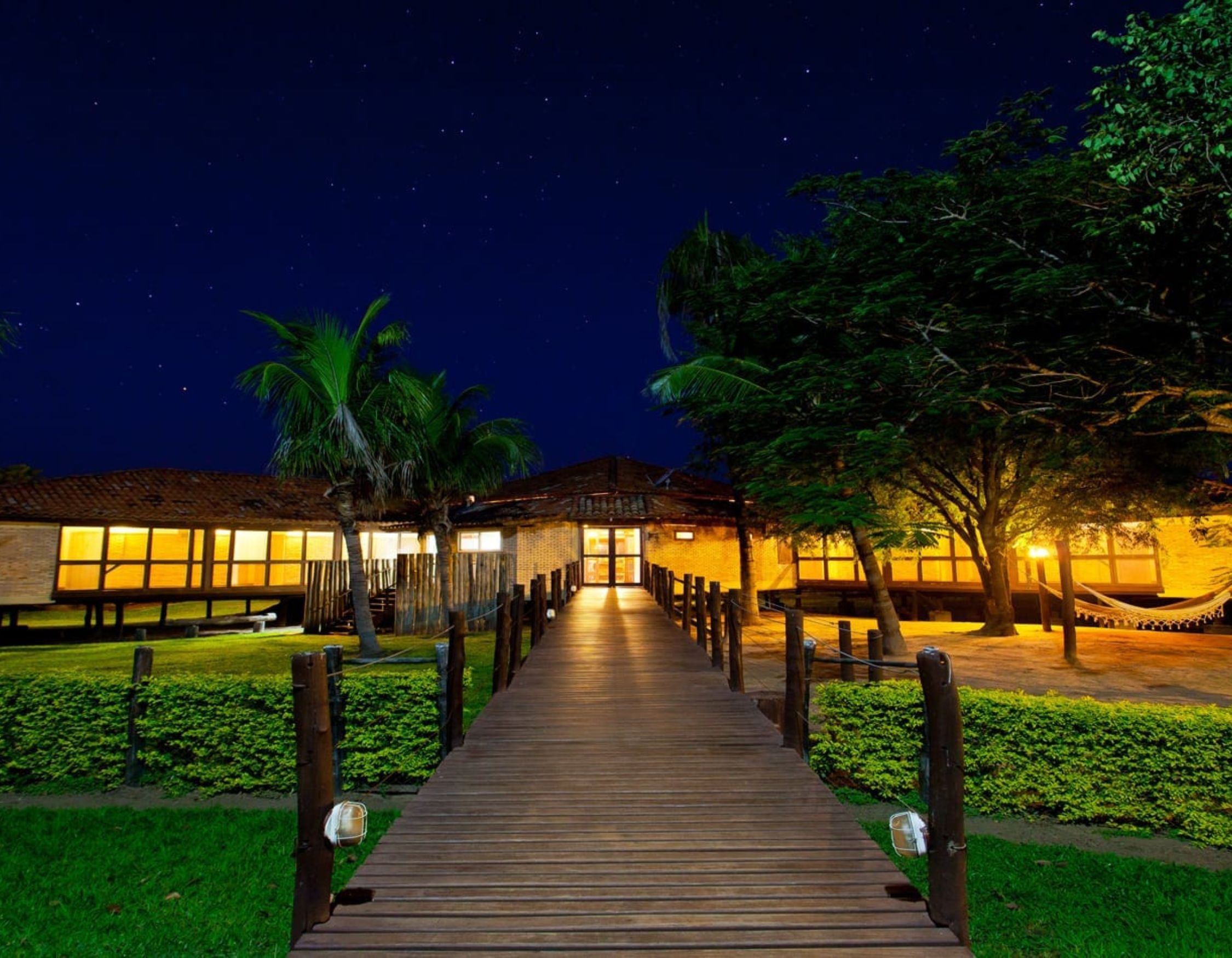A wooden pathway leads to a cozy, illuminated lodge surrounded by green foliage, under a starry night sky. Palm trees frame the scene, enhancing the tranquil atmosphere.