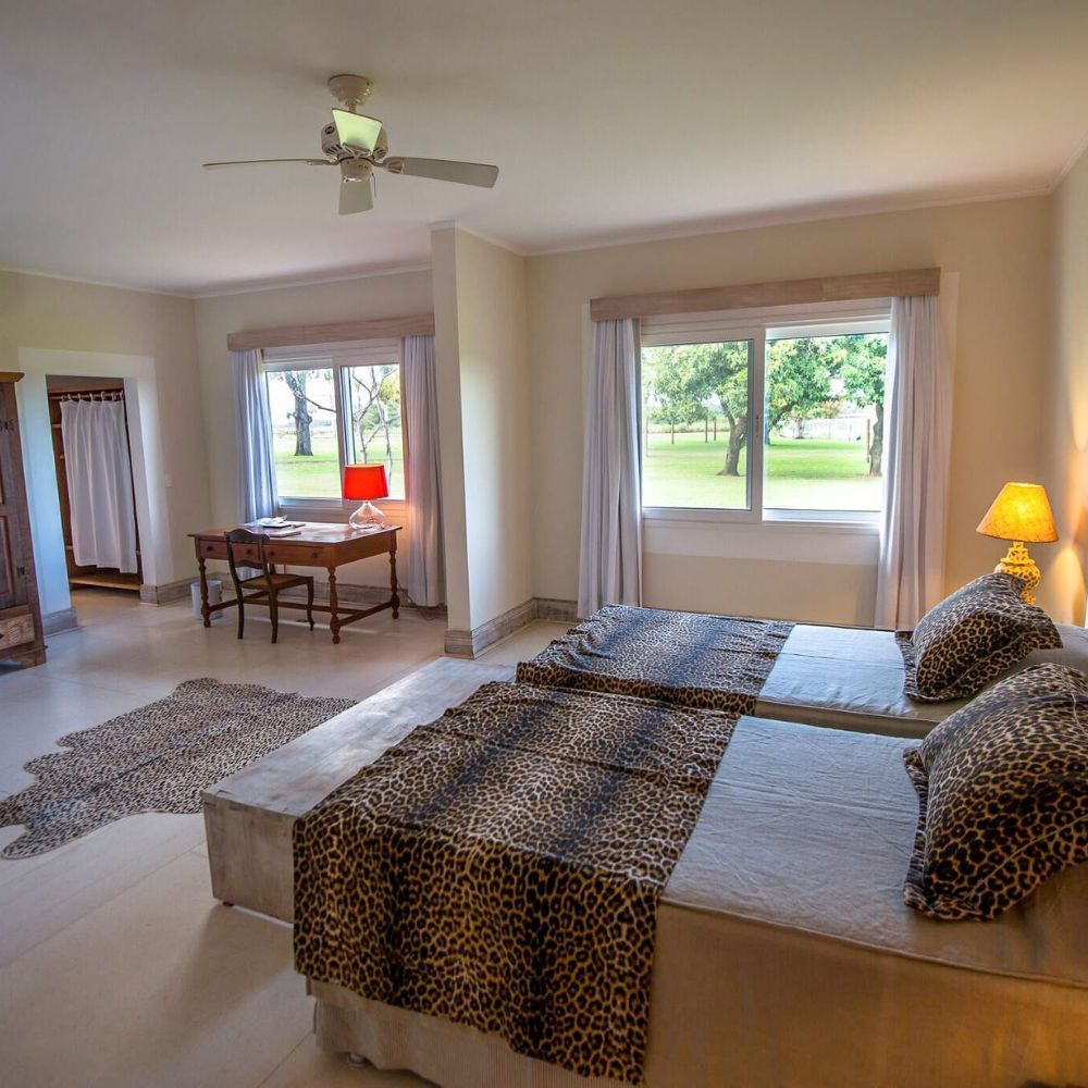 A spacious bedroom with two beds covered in leopard-print bedding. There is a wooden desk and chair near the window, a lamp on a small table, and large windows offering a view of greenery outside. A rug in a similar pattern adds to the decor.