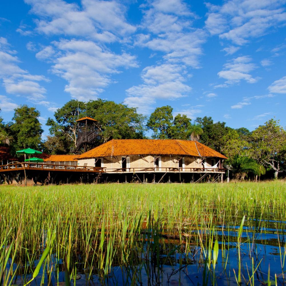 A wooden lodge with a thatched roof sits on stilts among tall green grass and water. Bright blue skies with scattered clouds create a vivid backdrop.