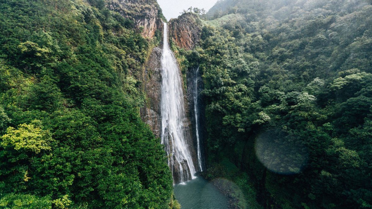 A majestic waterfall cascades down a lush green cliff into a serene pool, surrounded by dense tropical foliage and mist.