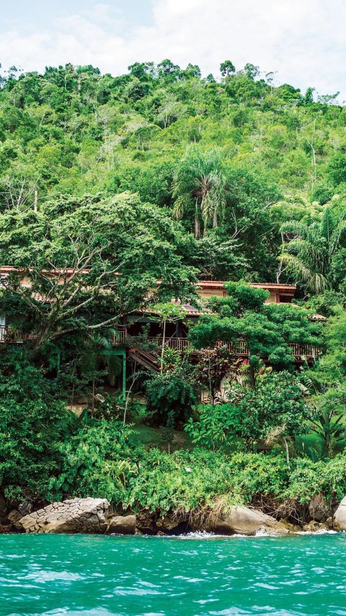 A lush, green hillside with dense tropical vegetation and a wooden structure nestled among the trees. The vibrant foliage reflects the natural beauty of the area, while the turquoise water in the foreground adds to the serene atmosphere.