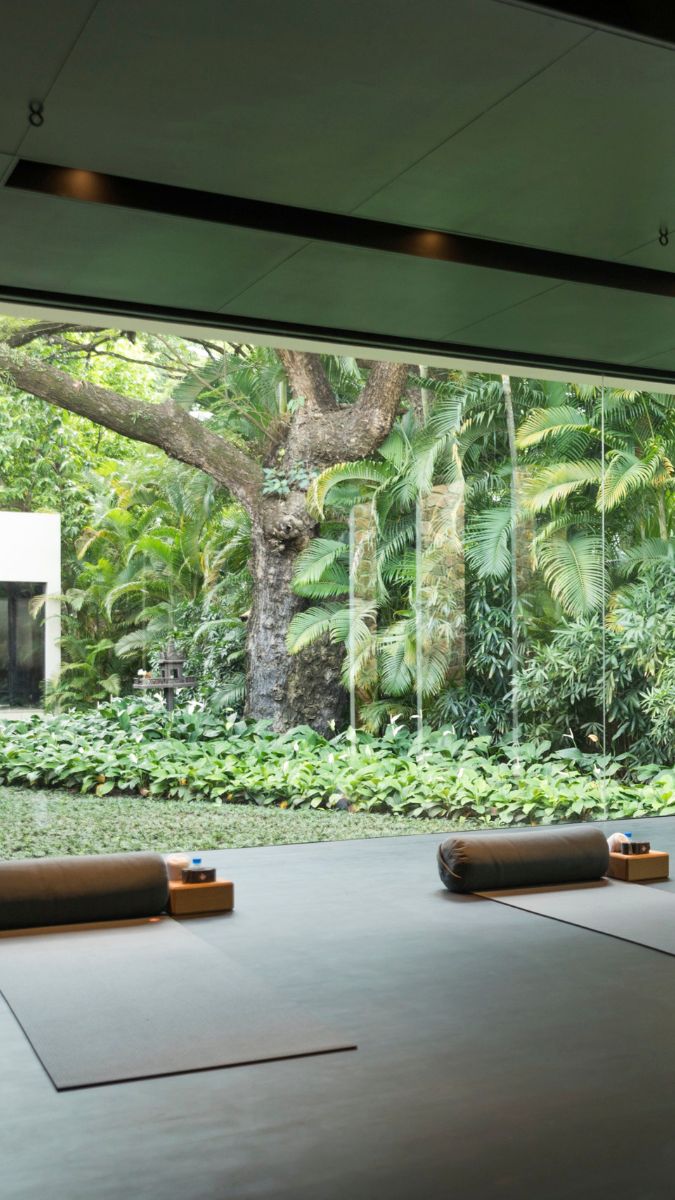 A serene indoor space with two yoga mats placed on a smooth floor, large windows revealing a lush, green garden filled with tropical plants and a sturdy tree. Natural light floods the area, creating a calming atmosphere.