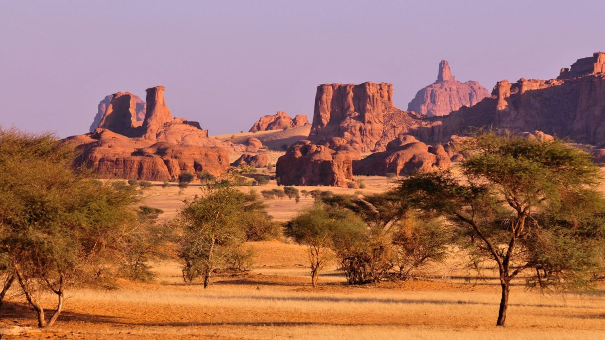 Remote desert with bush and shaped orange rocks in Chad