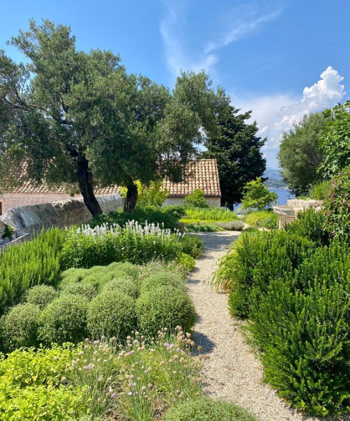 LOPUD's gardens