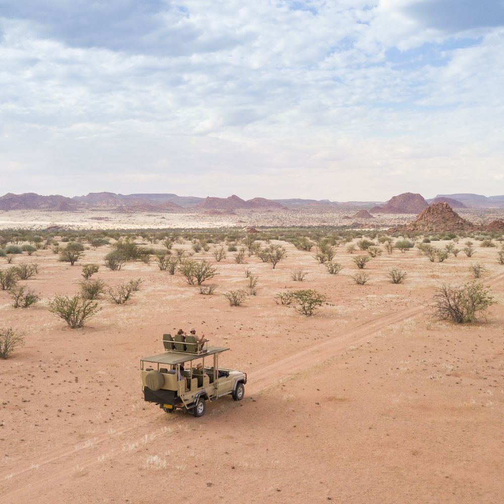 safari drive