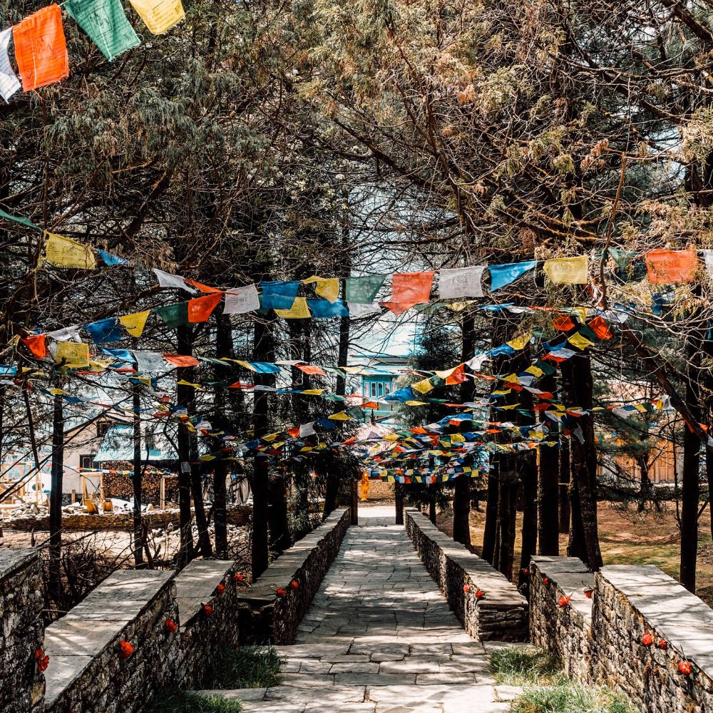 Happy house colourful flags in Nepal