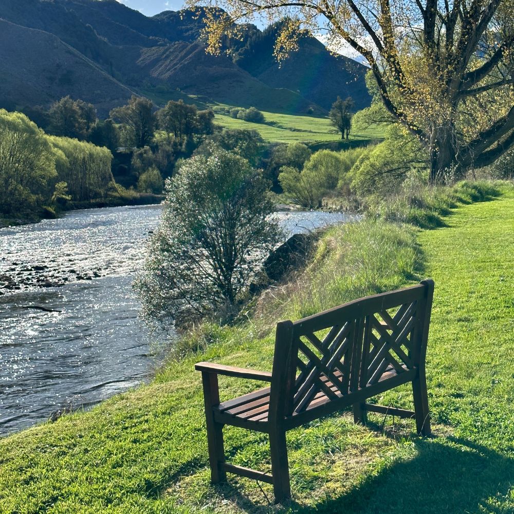 Bench overlooking river
