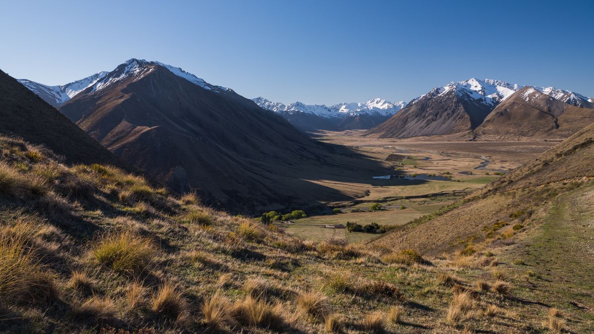 New Zealand landscape