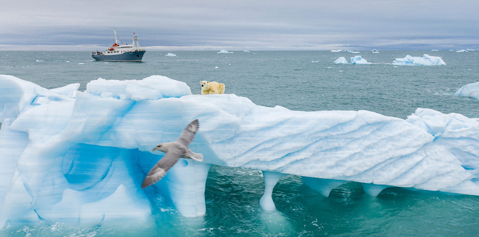 A polar bear rests on a large iceberg while a bird flies in the foreground and a research ship sails in the distance.