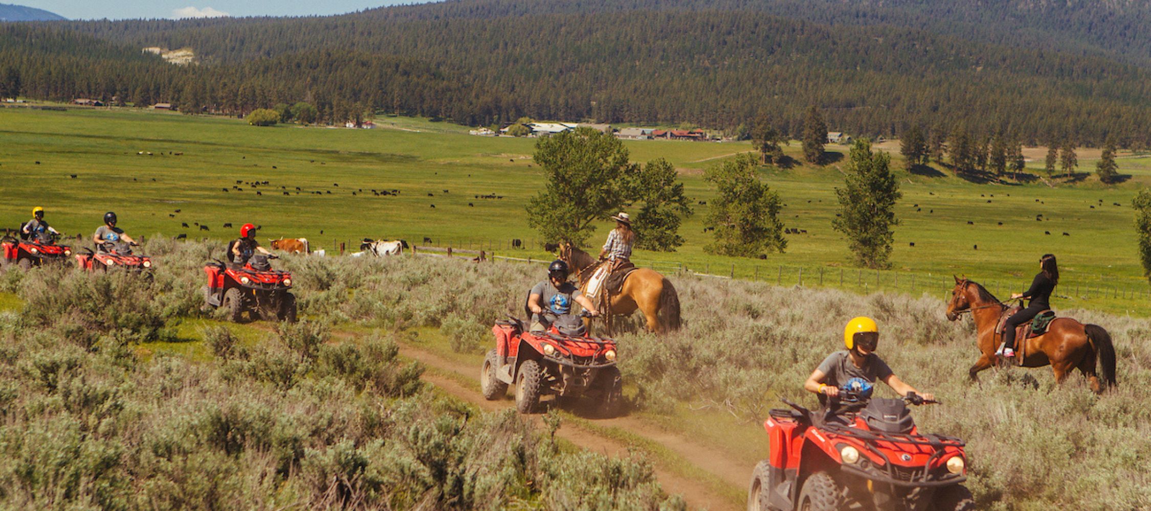 Group of guests on montana atv trails.