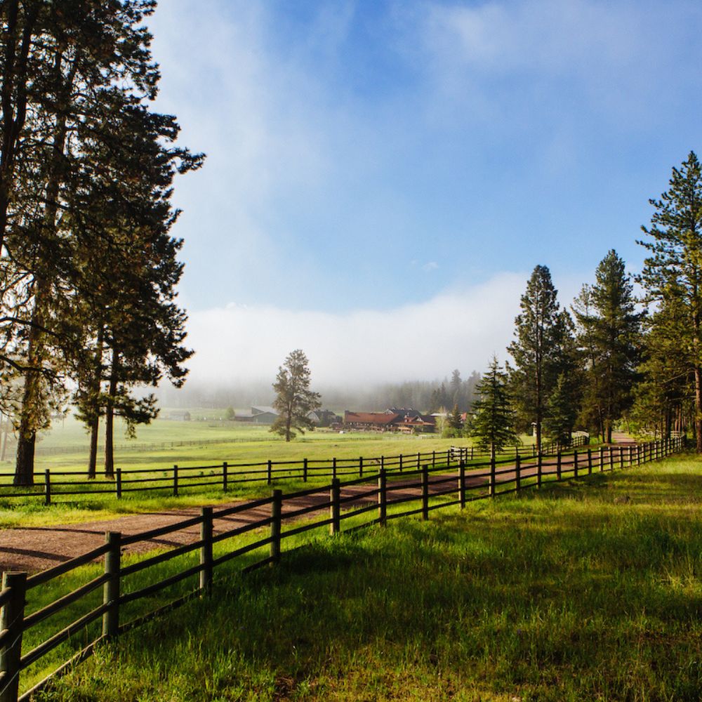 uxury ranch in Montana surrounded by pine trees and open fields, perfect for 4th of July vacations and summer outdoor adventures