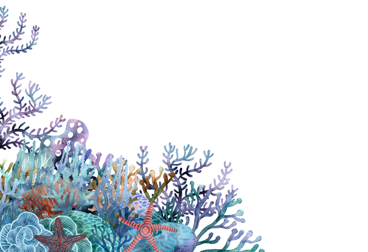 Vibrant underwater scene featuring colorful coral and marine life, including a starfish and various sea plants, set against a simple black background.