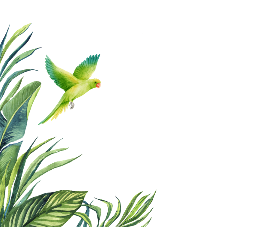 A vibrant green parakeet with yellow accents is flying among lush green leaves.