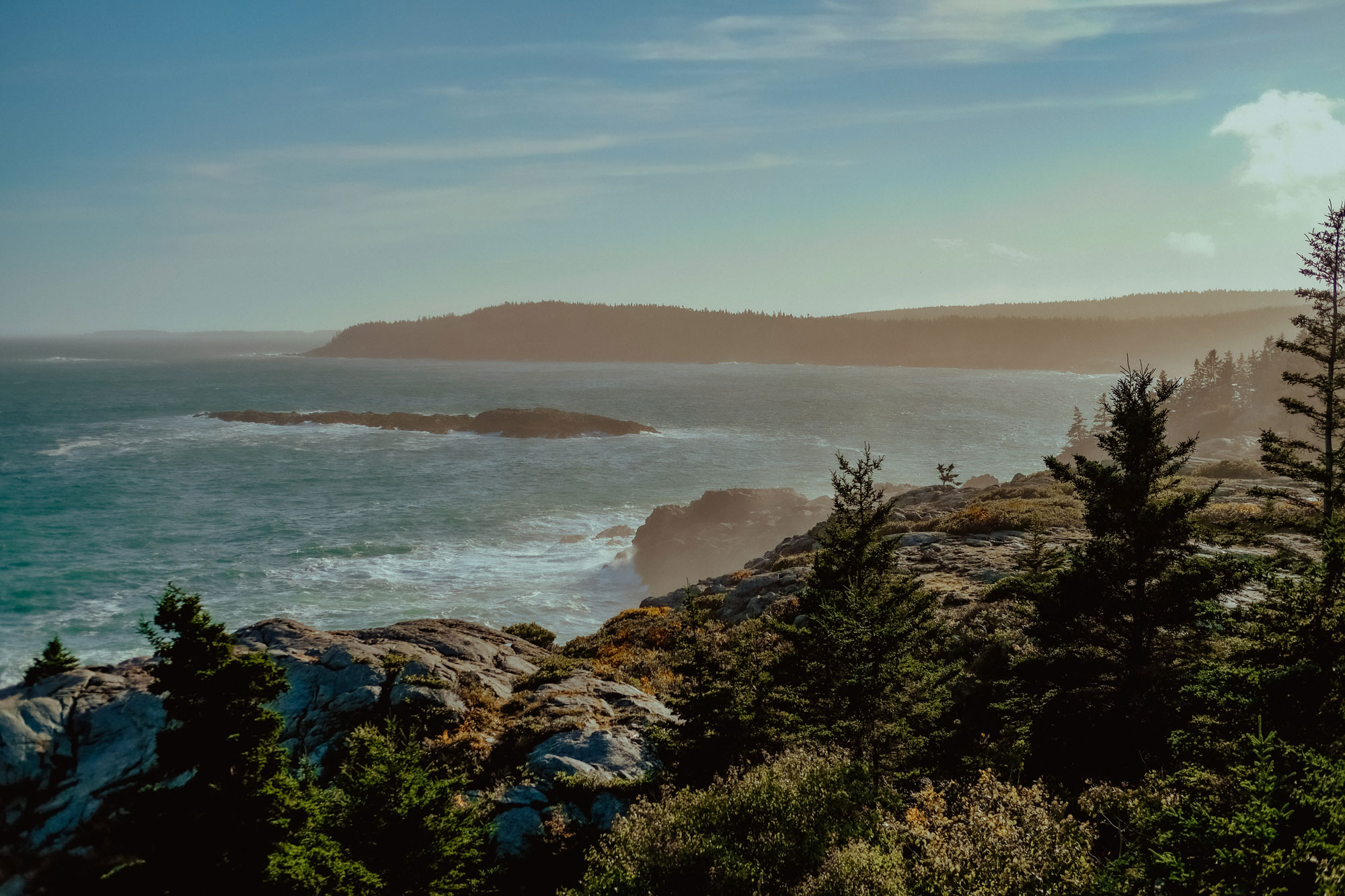 Rocky coastline with evergreen trees overlooking a turquoise sea with white-capped waves.