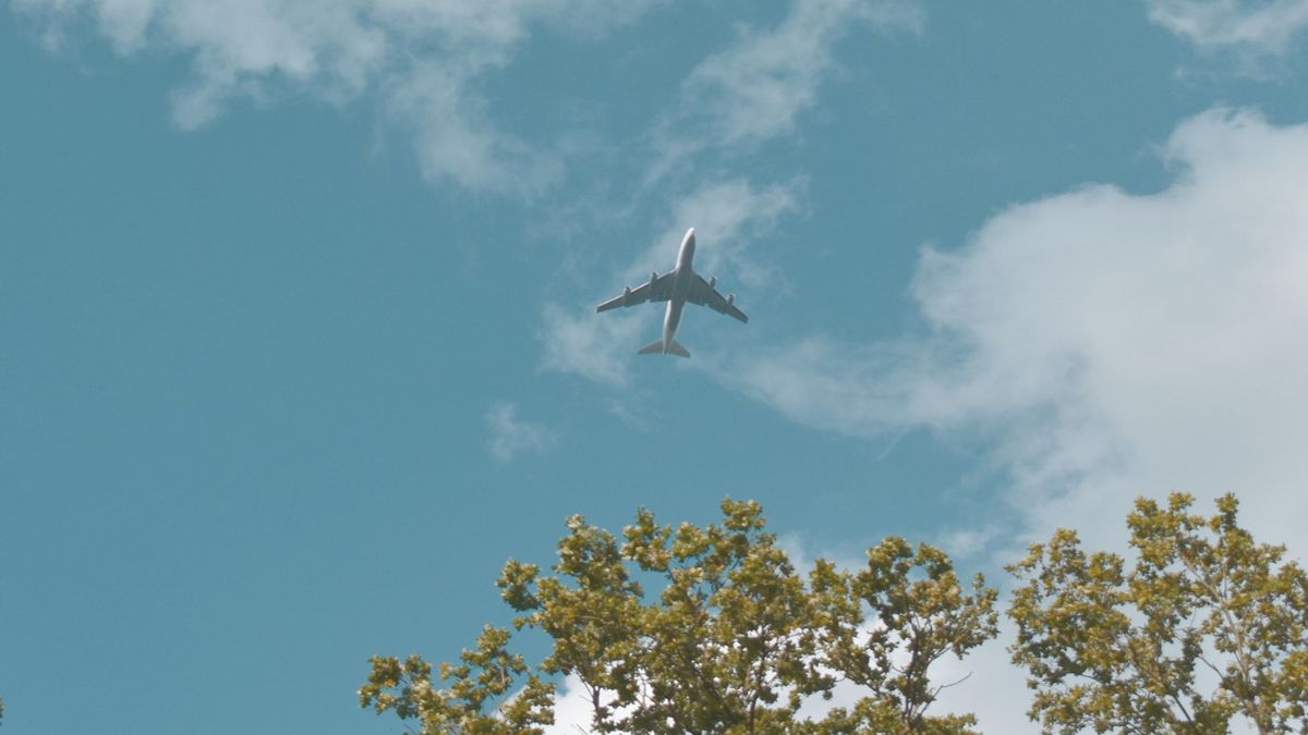 An airplane flies high in a blue sky with light clouds, seen from below through the tops of green trees.