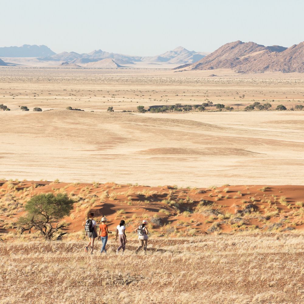 Group on a walking safari in the desert