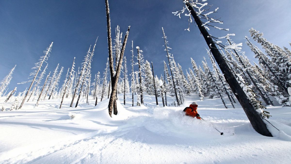 best powder skiing in canada