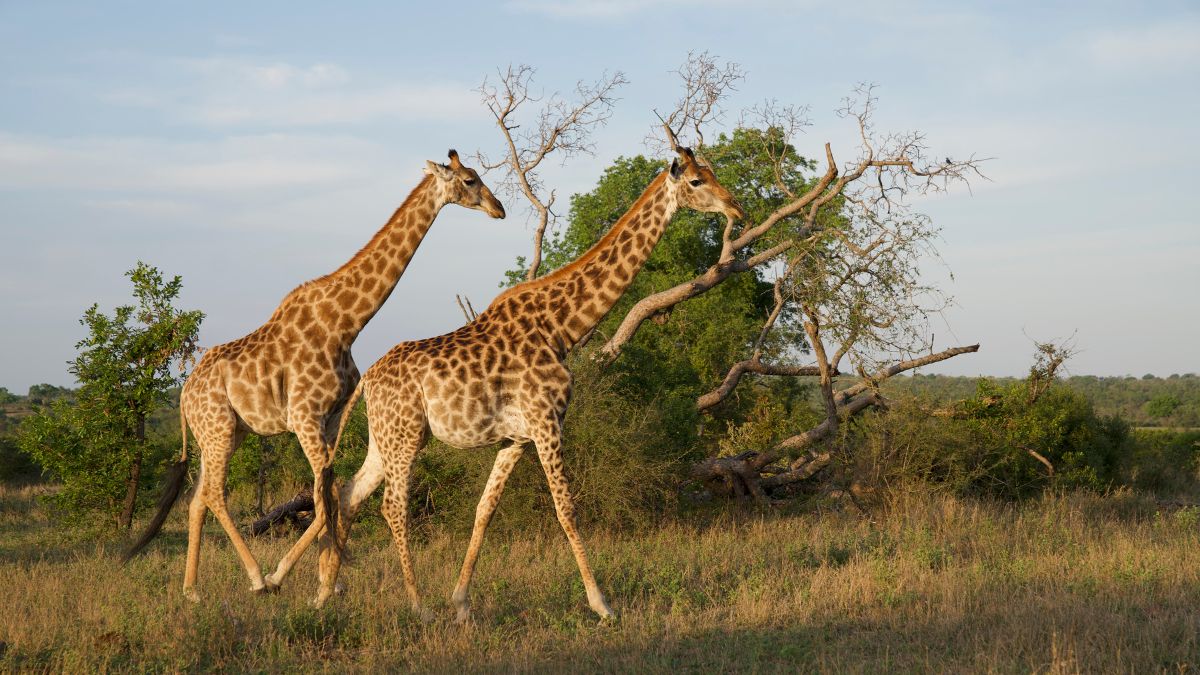 Where to travel in February South Africa
