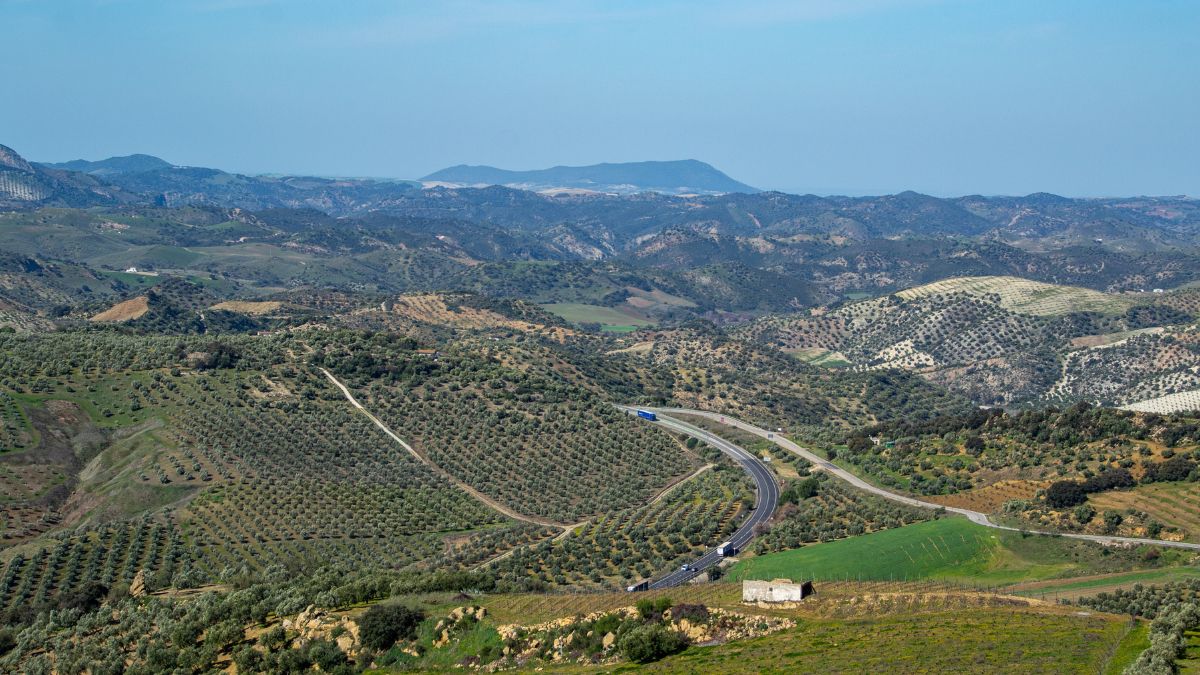 Rolling hills and vineyards in Spain with clear blue skies, highlighting it as one of the best places to go in July for warm weather