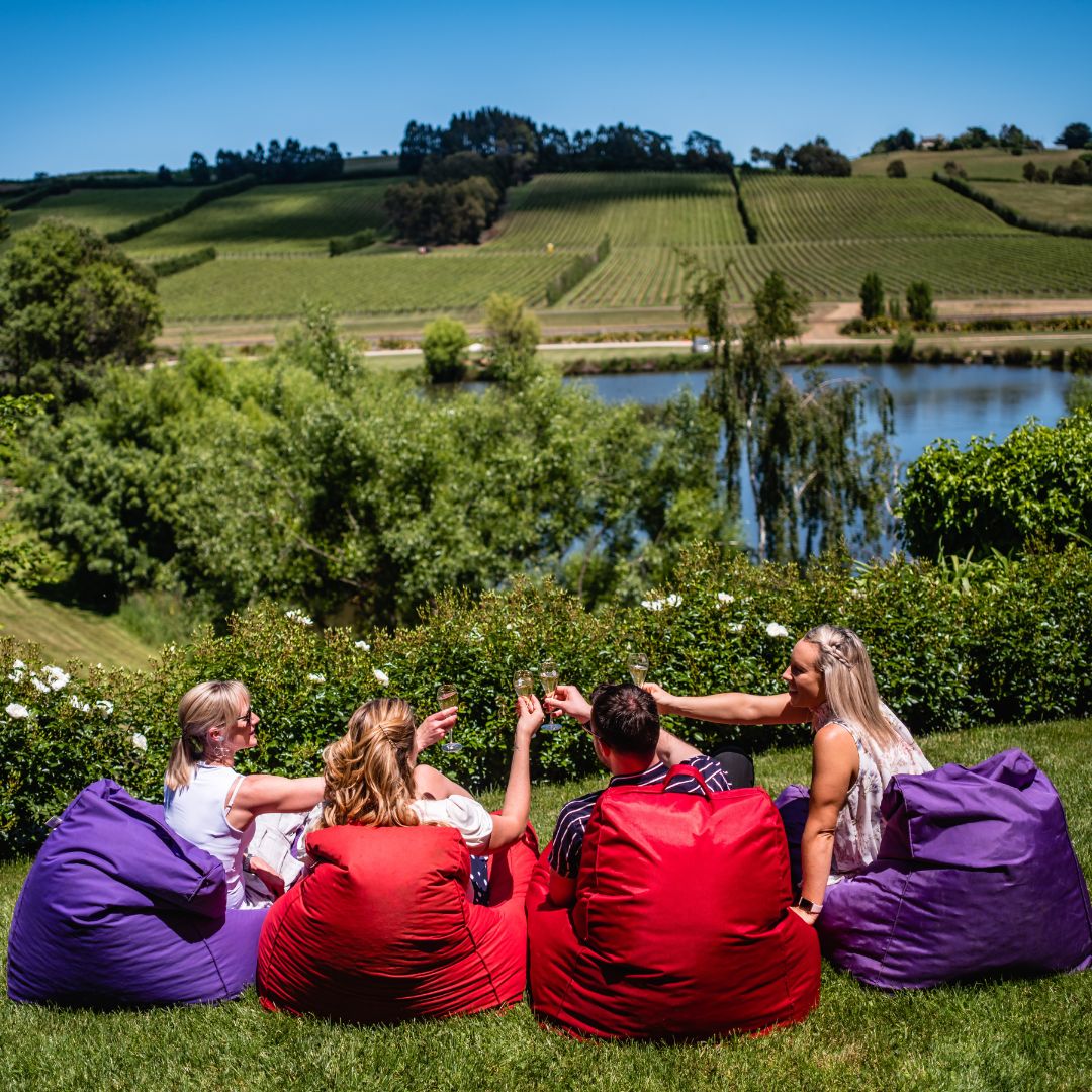 Four people sit on colorful bean bags by a serene lake surrounded by lush greenery and vineyards, enjoying drinks and laughter under a clear blue sky.