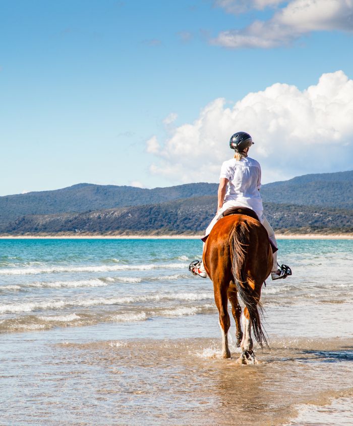 A person in a white outfit rides a brown horse along a beach, with gentle waves lapping at the shore. Mountains are visible in the background under a partly cloudy sky.