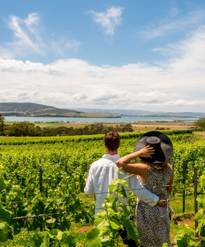 A couple stands in a vineyard, embracing while overlooking a scenic landscape with a lake and distant hills under a blue sky dotted with clouds.