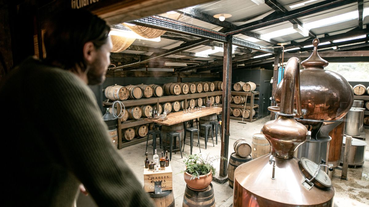 A person looks out over a distillery filled with wooden barrels, a copper still, and a wooden table with stools. Natural light streams in from the roof.