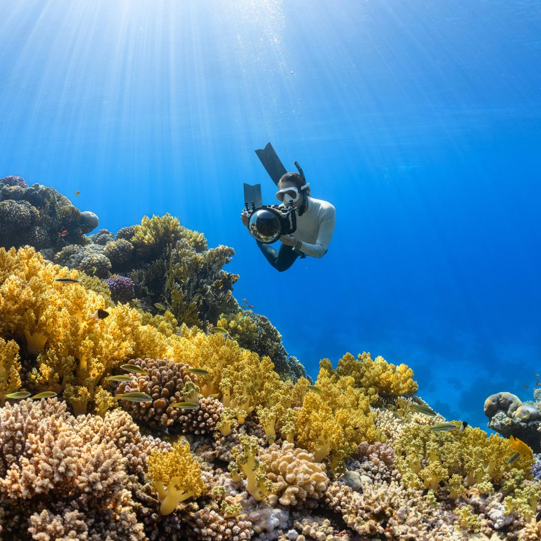 Guests undertaking an underwater photography course with a professional instructor