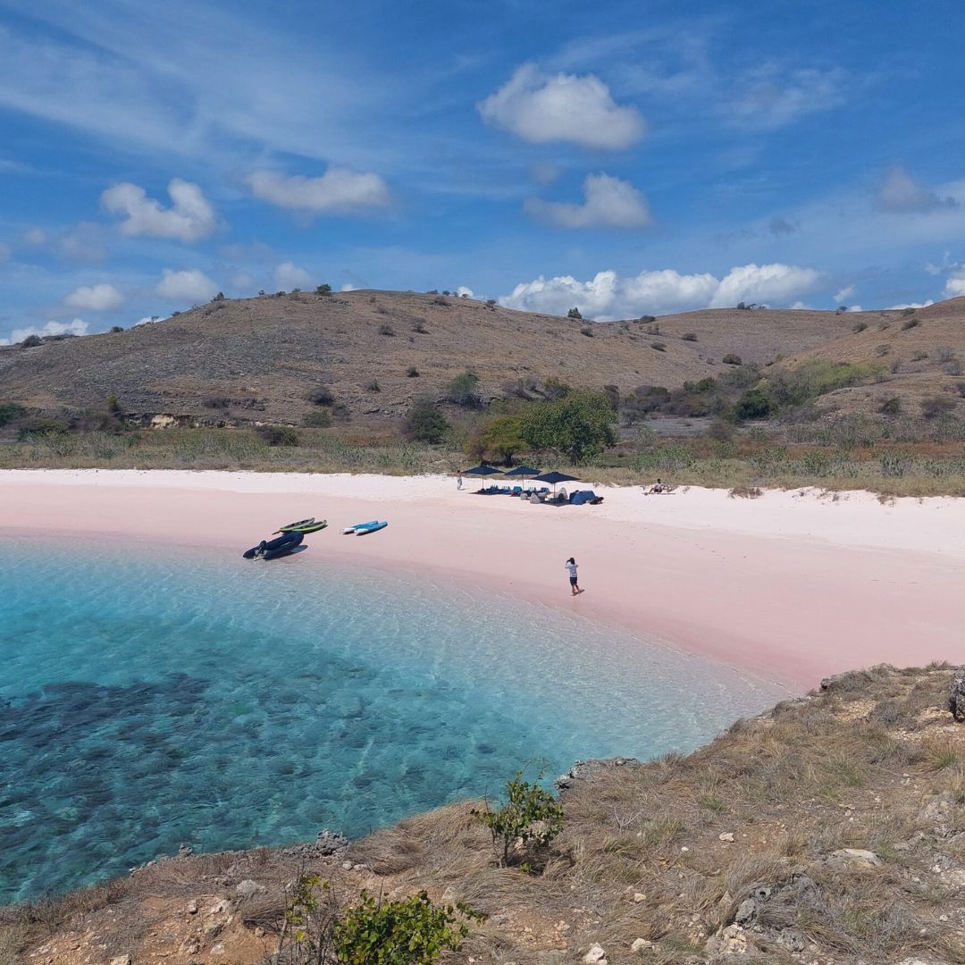 pink beach komodo indonesia