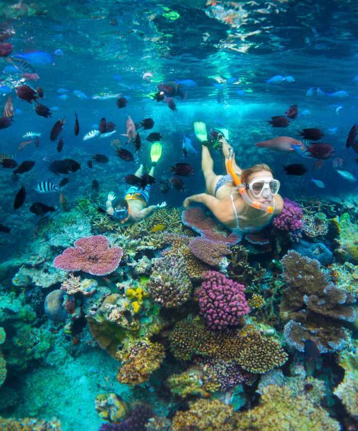 Two snorkelers explore a vibrant coral reef underwater, surrounded by a variety of colorful fish and coral formations. Sunlight pierces through the water, illuminating the scene.