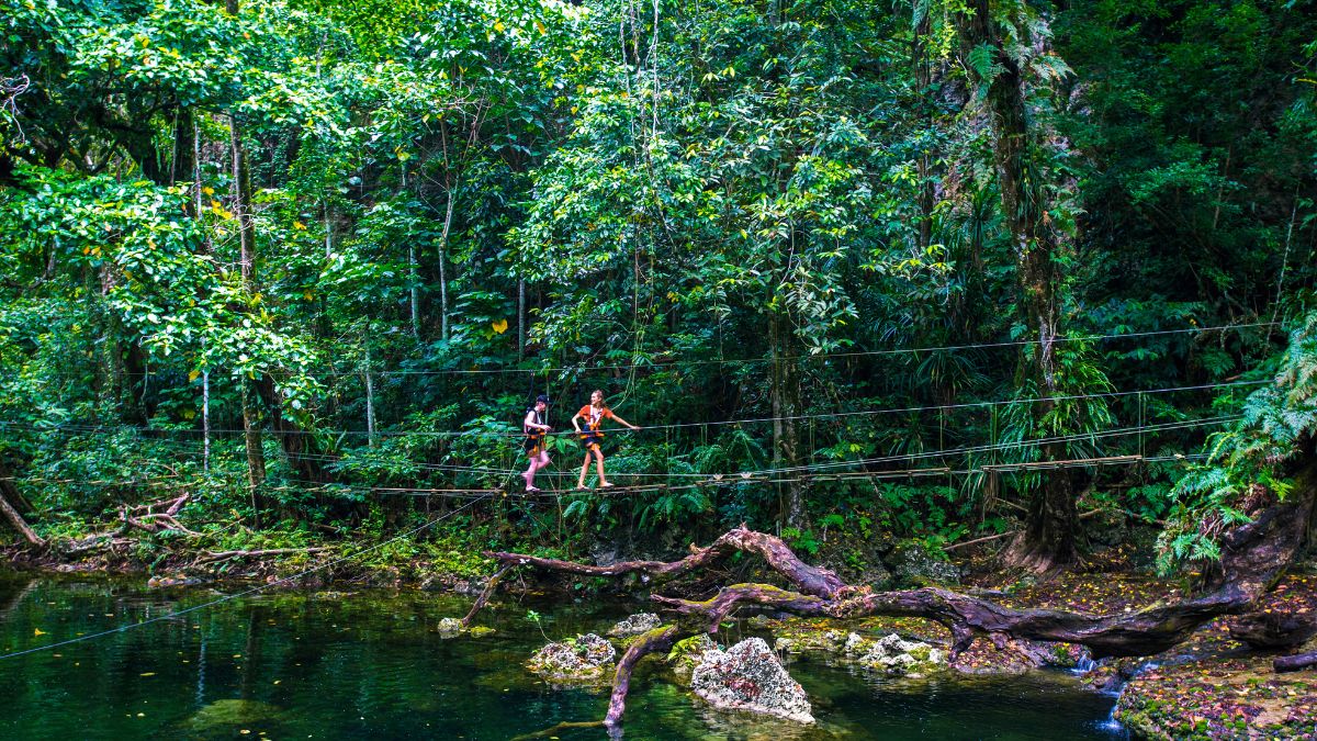 Two people walk across a narrow suspension bridge above a clear, still body of water, surrounded by dense, lush greenery and tropical trees in a vibrant jungle setting.