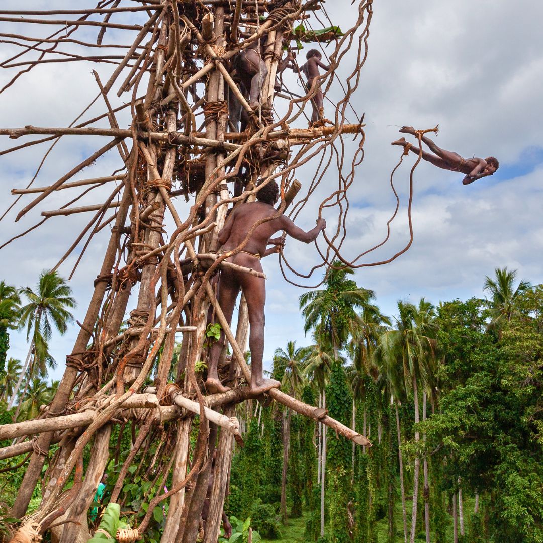Men climbing a tall, intricate wooden tower made of branches, with one man diving from the structure. Lush greenery and palm trees surround the scene under a cloudy sky.
