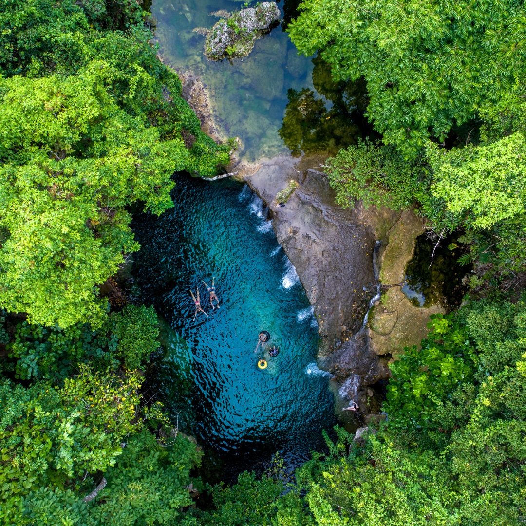 Aerial view of a serene, turquoise pool surrounded by lush green trees. People are enjoying the water, creating a peaceful, natural escape.