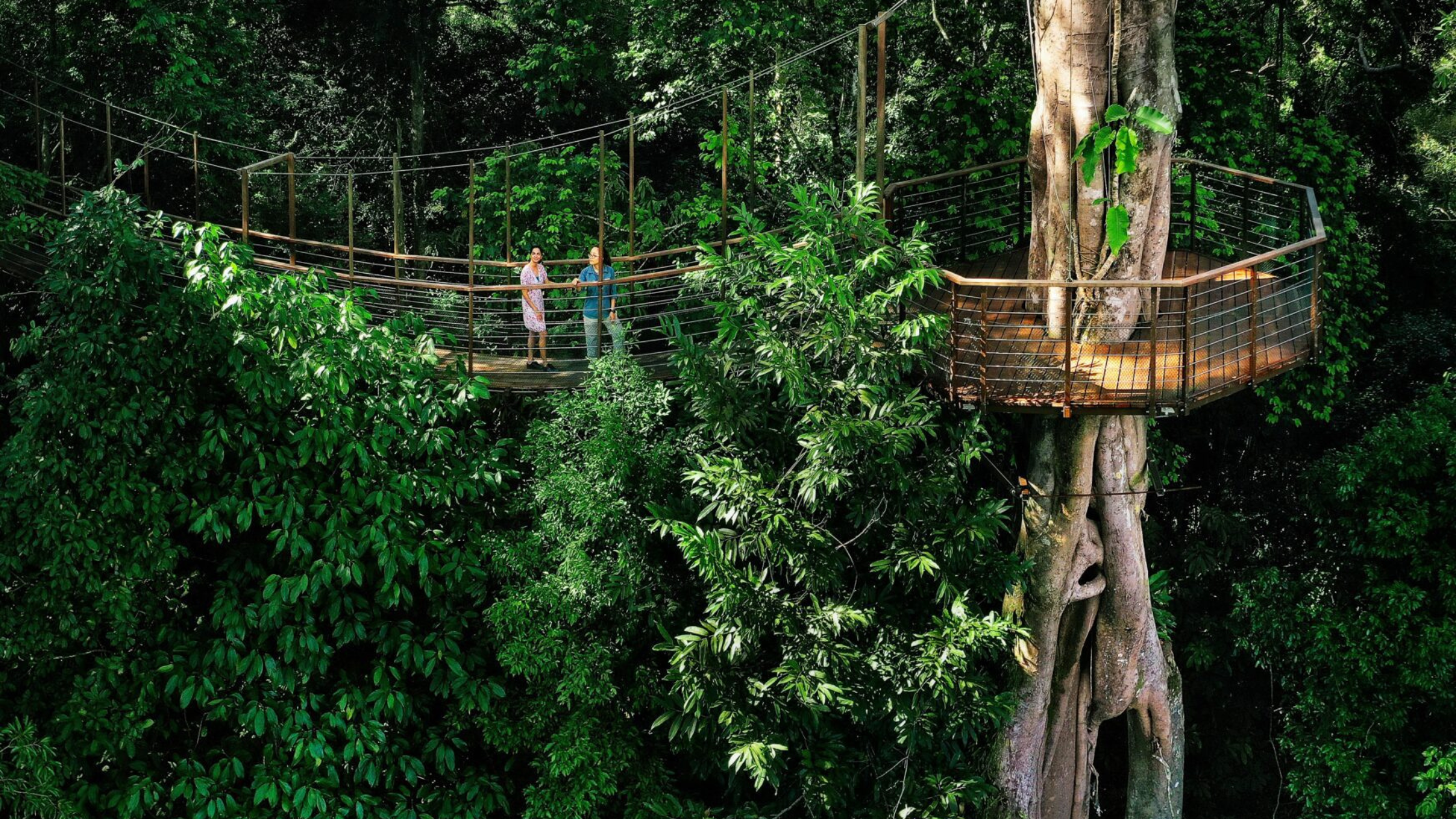 Where to travel in February Malaysia