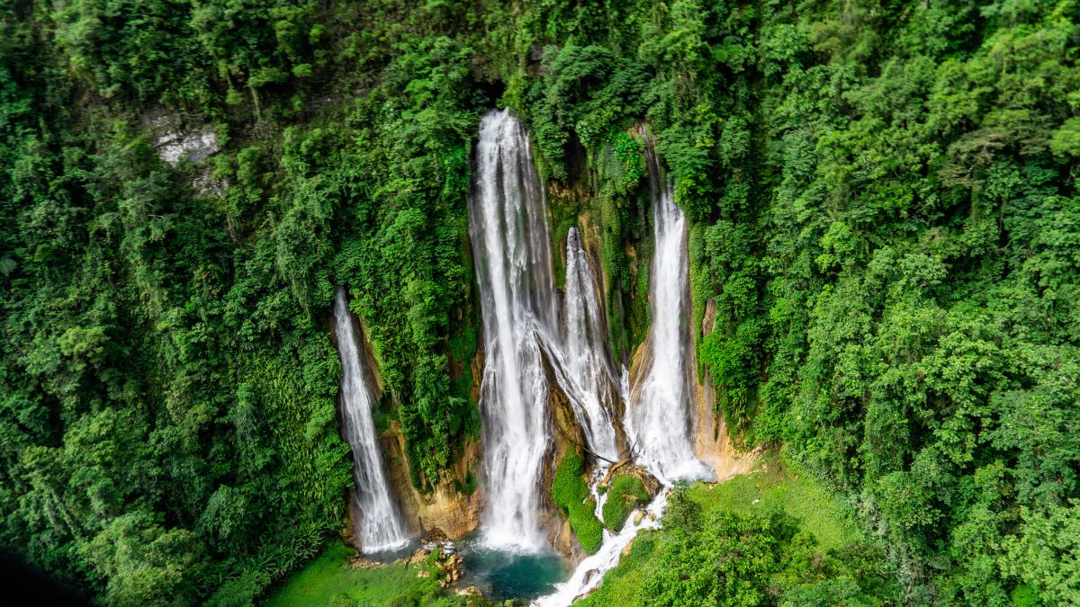 A stunning waterfall cascading down rocky cliffs, surrounded by lush green vegetation. The water flows into a serene pool at the base, creating a peaceful natural scene.