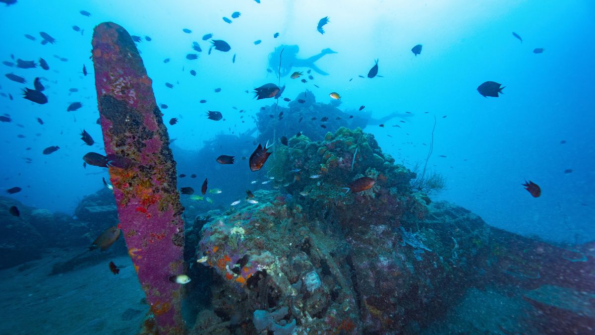 A vibrant underwater scene featuring a colorful, coral-covered shipwreck. Small fish swim around the wreckage, with a diver visible in the background. The water is a deep blue, creating a serene atmosphere.