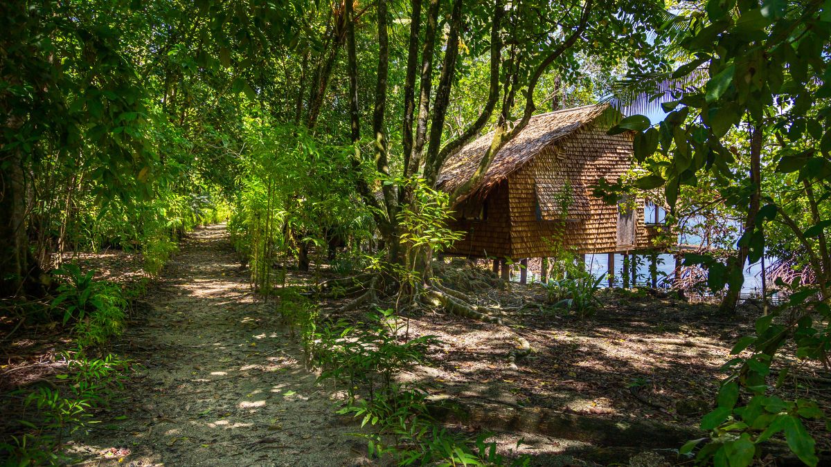 A narrow dirt path winds through a lush green forest, leading to a small, wooden cabin with a thatched roof partially hidden among the trees. Sunlight filters through the dense foliage, creating a serene and tranquil atmosphere.