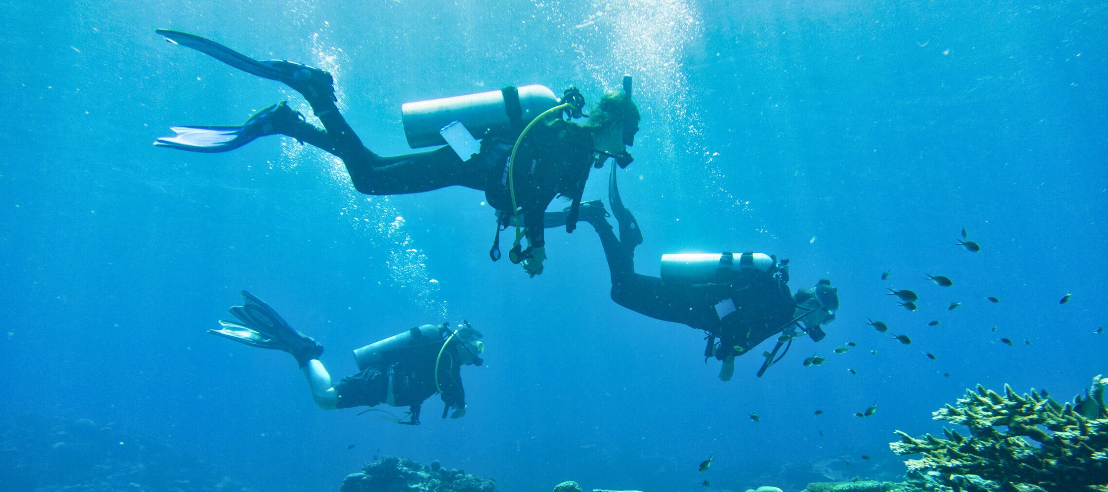 Three divers explore an underwater scene, surrounded by colorful fish and coral. Bubbles rise as they move gracefully through the clear blue water.