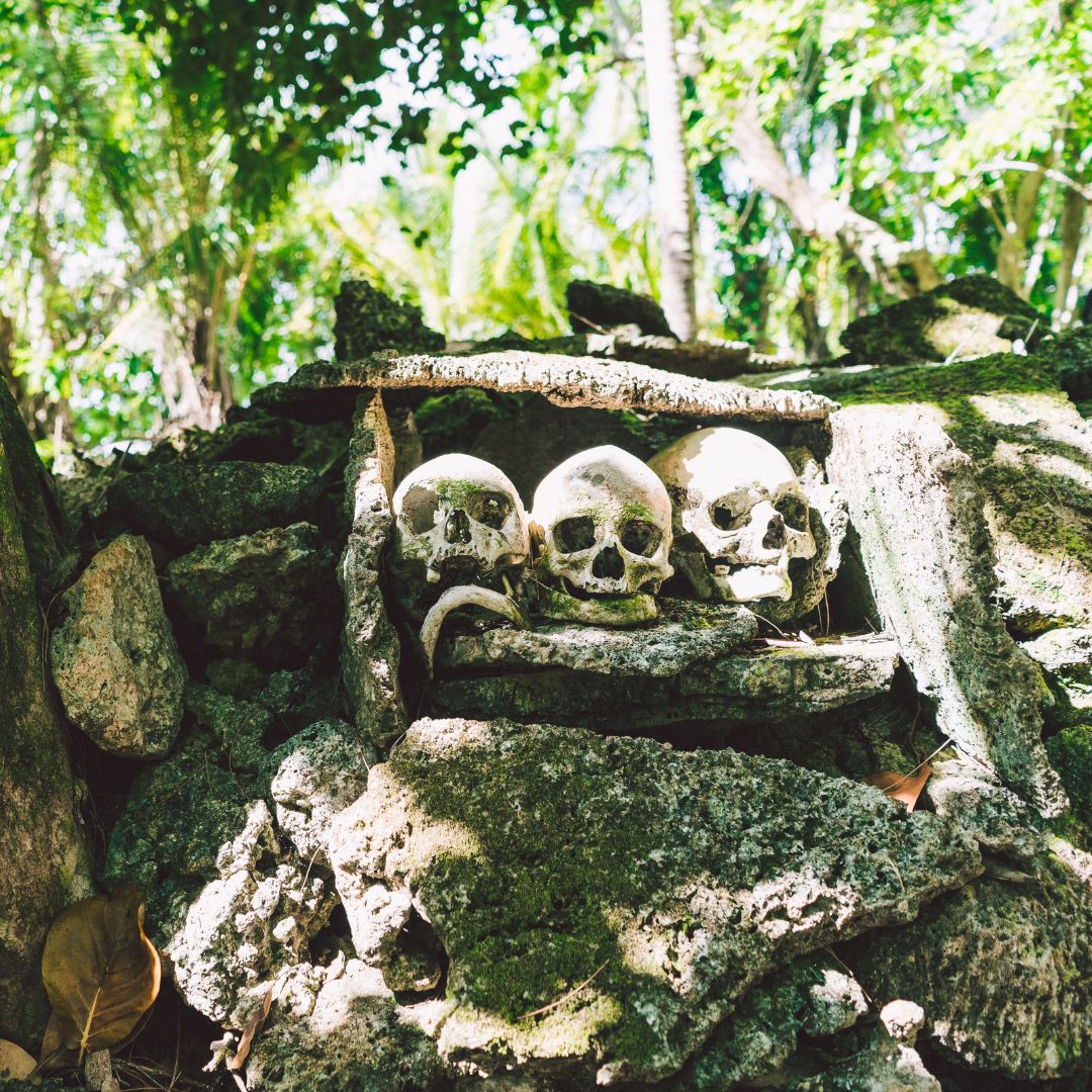 Three human skulls positioned on a rocky surface surrounded by lush greenery. The scene is reminiscent of a burial site or archaeological finding.